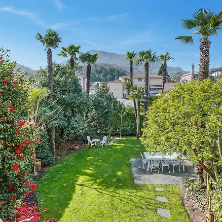 Casa Viola - Happy *