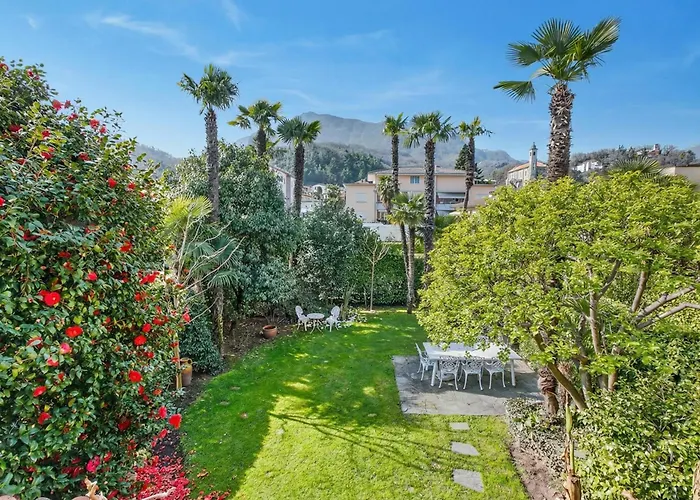 Casa Viola - Happy *